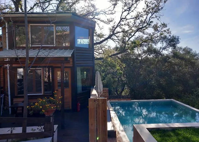 Romantic Tree House