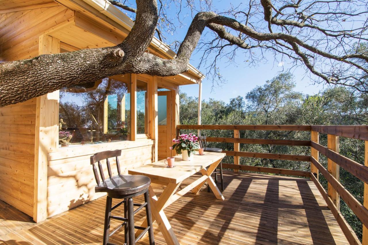 Dom wakacyjny Romantic Tree House *