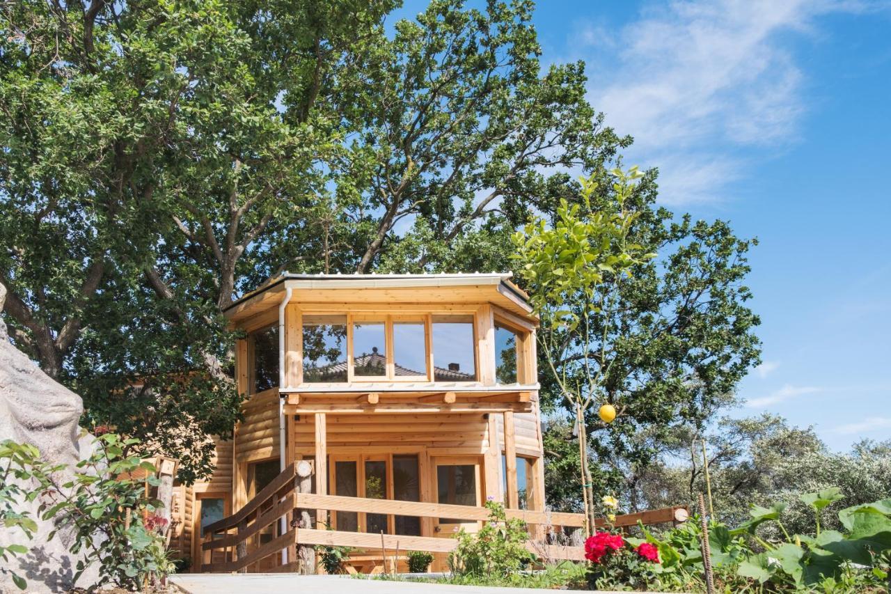 Romantic Tree House Dom wakacyjny Kato Pavliana